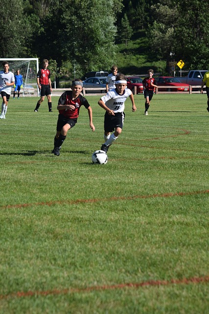 许不会在场 许不会在场