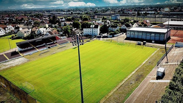 目中的形象 目中的形象