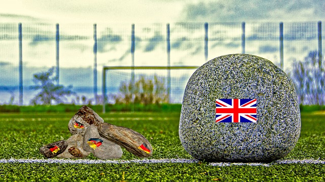 比賽中所展 比賽中所展