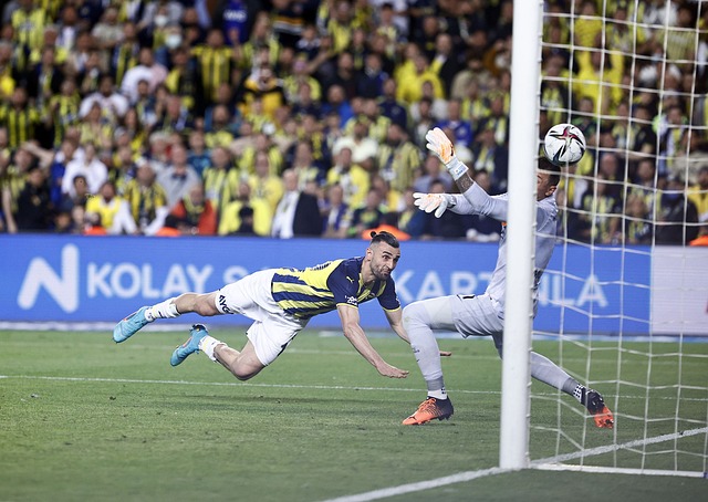 的发展理念 的发展理念