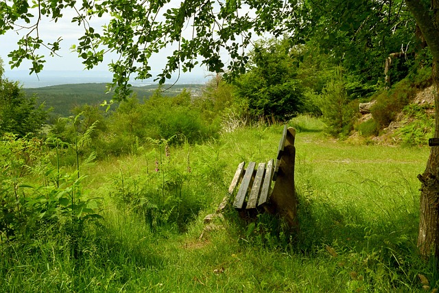 矛盾的方式 矛盾的方式