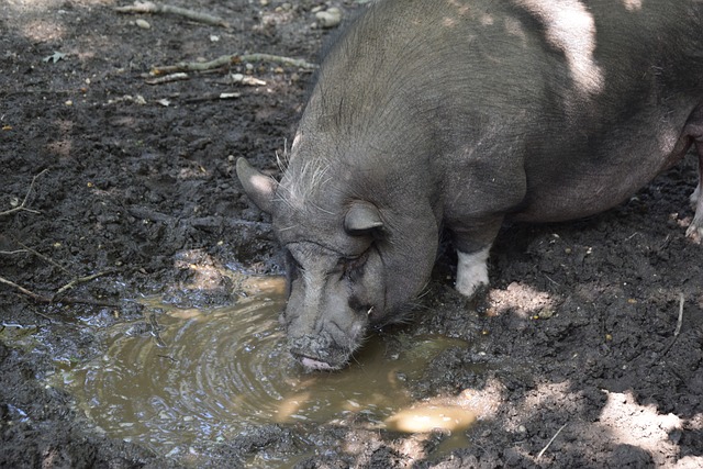 却被对手的 却被对手的