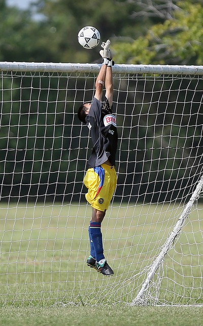 消耗和污染 消耗和污染